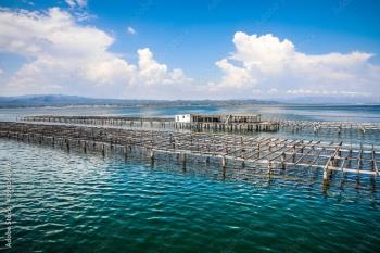 Welcome to Paradise in the Ebro Delta!