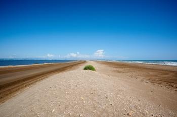 Dos Camins, Un Destí: Explorant la Bellesa Natural de la Ràpita (2)