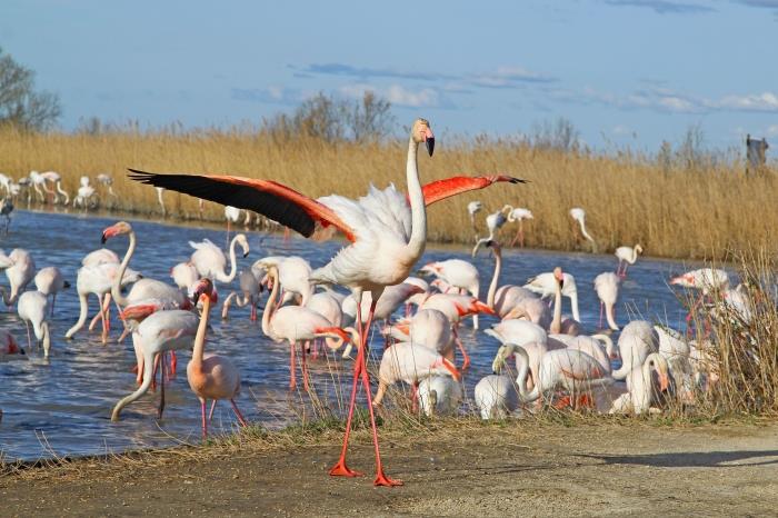 Discover MonNatura Delta Foundation: an adventure for all senses